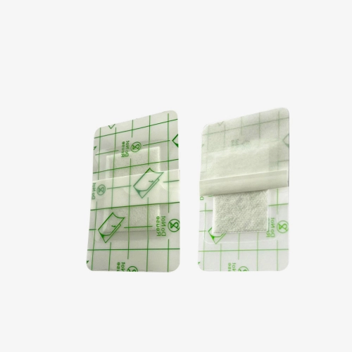 F. Bosch Adhesive wound dressing, sterile, 10cm x 10cm 